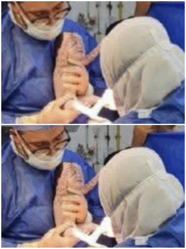 المنوفية
