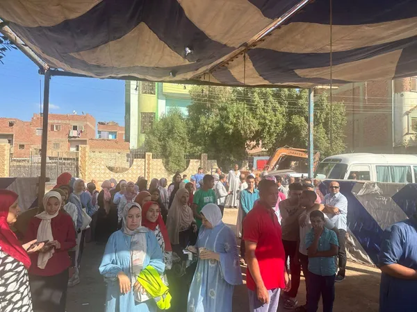 انتخابات الإعادة لمجلس الشيوخ ببنى سويف 