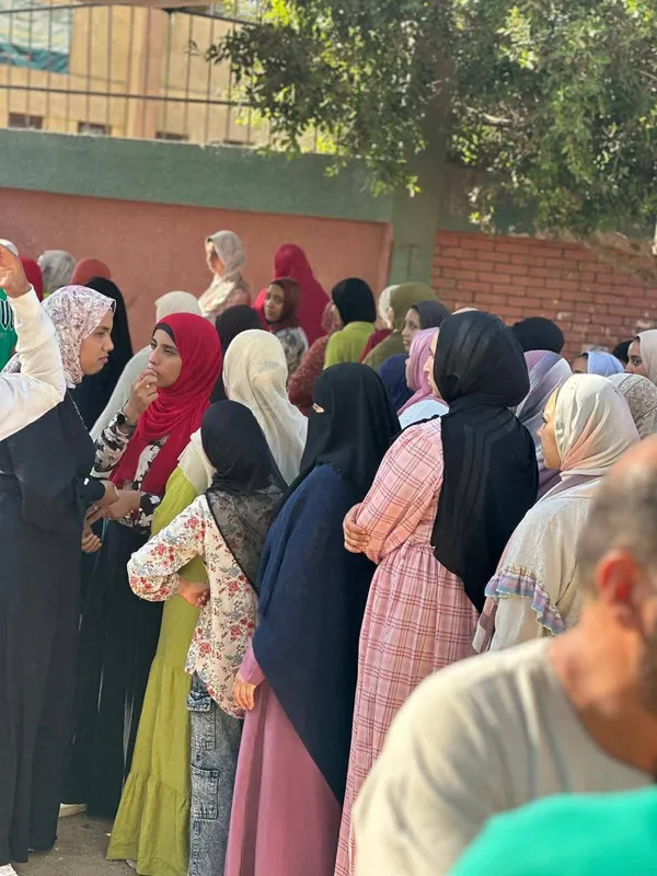 انتخابات الإعادة لمجلس الشيوخ ببنى سويف 