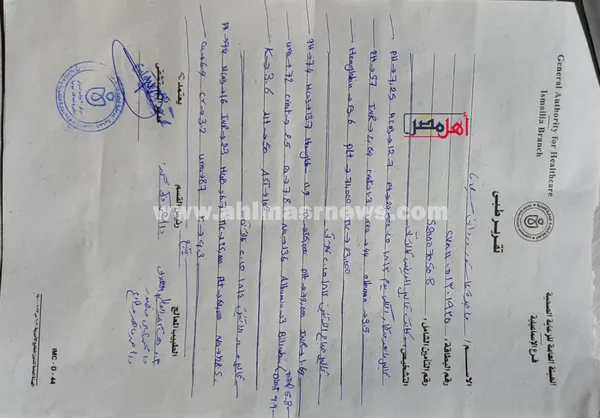 تقارير الحالة 