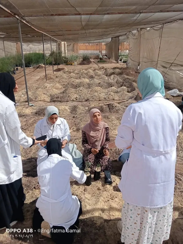 جامعة مطروح 