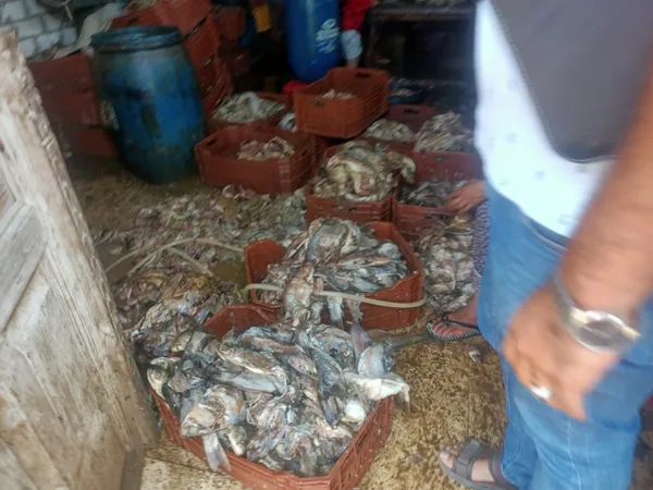 جانب من الضبطيات 