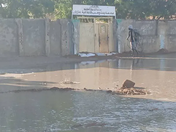 جزيرة ابا