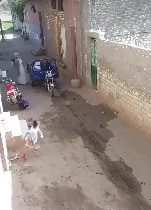 صورة من الفيديو