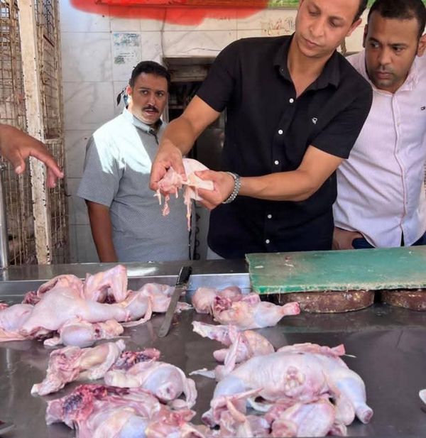 ضبوطات 