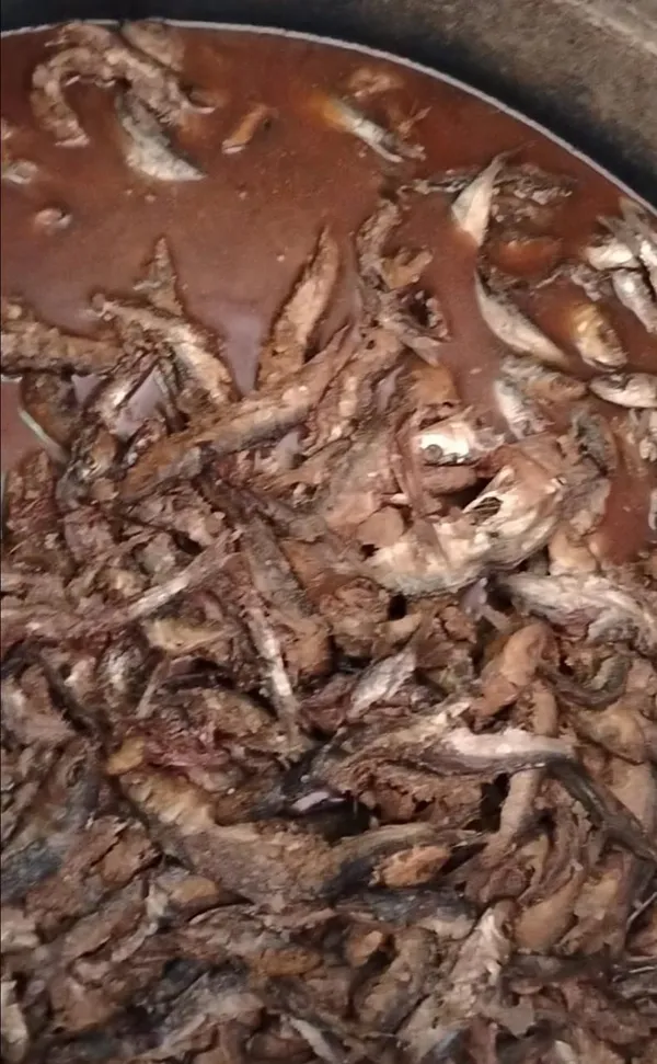 ضبوطات