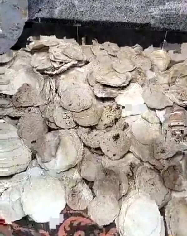 جانب من الواقعة