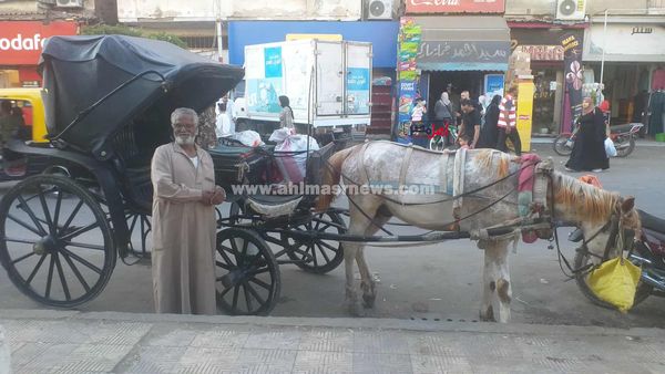 عم قطب، سائق حنطور