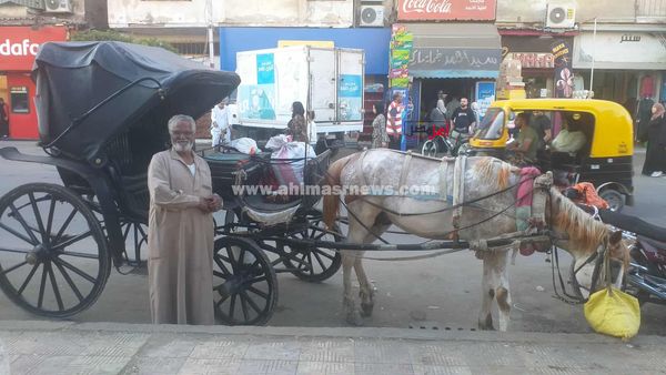 عم قطب، سائق حنطور