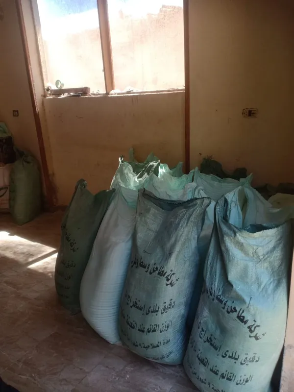 المنوفية
