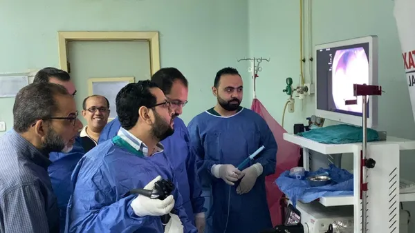 المنوفية