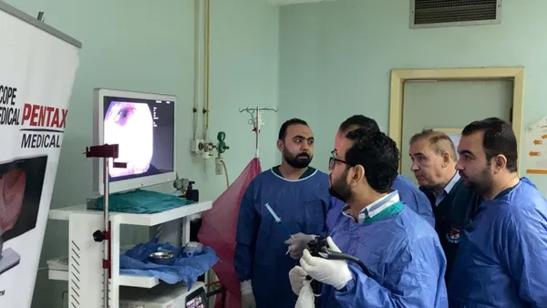 المنوفية