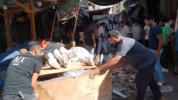 بعد الحريق ..حملة مكبرة بمنطقة الحميدى ببورسعيد 