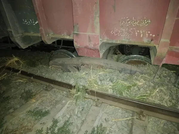 خروج 7 عربات طفل بقطار بنى سويف 