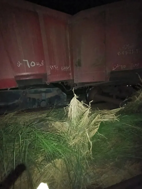 خروج 7 عربات طفل بقطار بنى سويف 