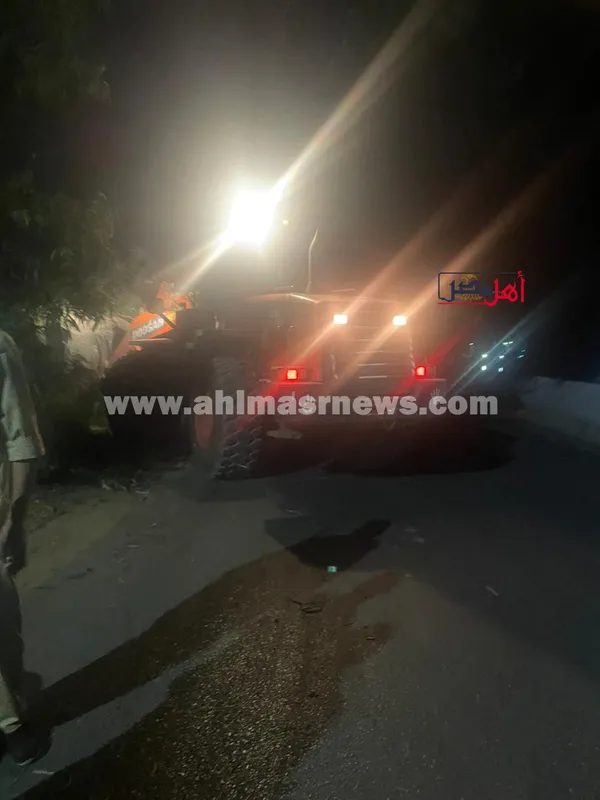 صور سقوط شجرة ضخمة بالإسماعيلية 