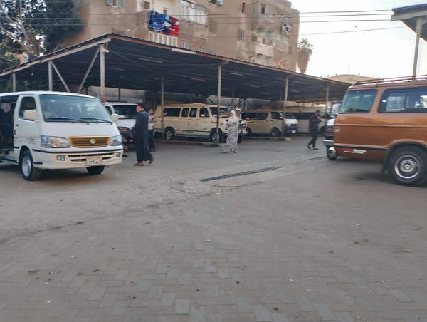 المنوفية
