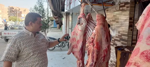 جانب من الحملات التفتيشية