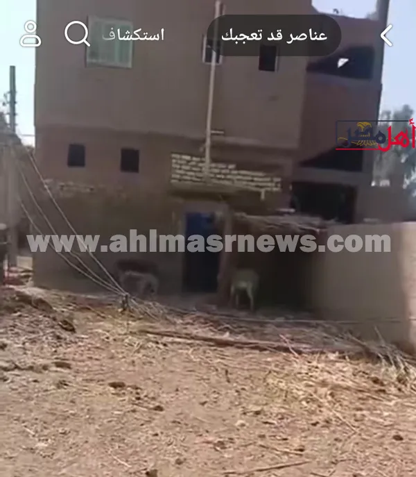 سقوط عمود إنارة 