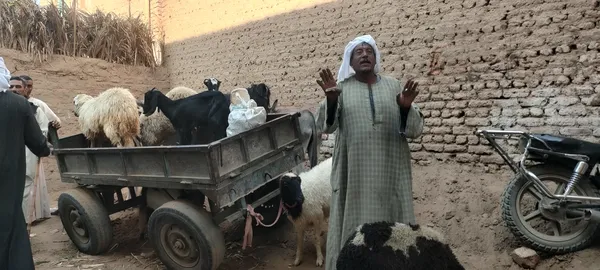 صور السوق