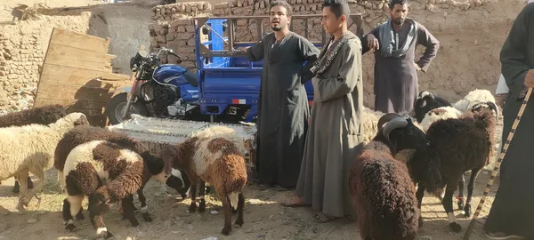 صور السوق