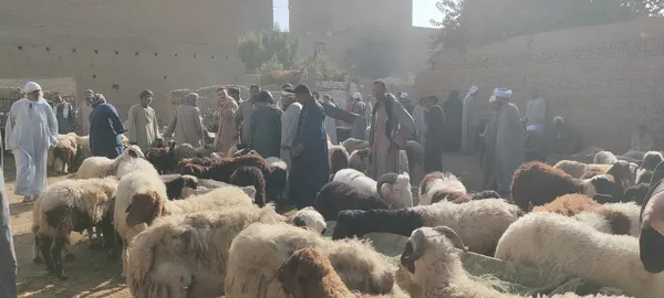 صور السوق