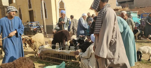 صور السوق