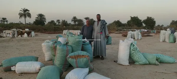 صور مسطاح البلح