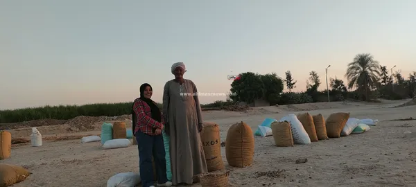 صور مسطاح البلح