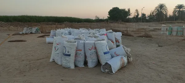 صور مسطاح البلح