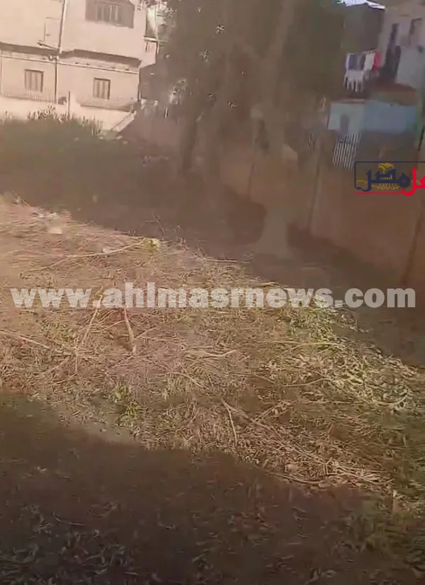 قطع الاشجار بوحدة الصحية في قنا 