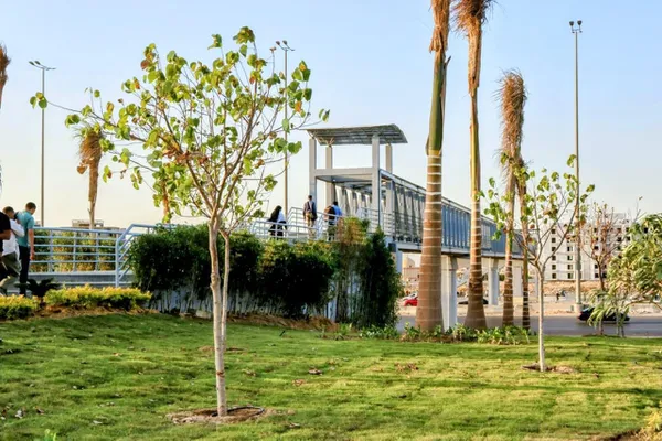 مدينتي