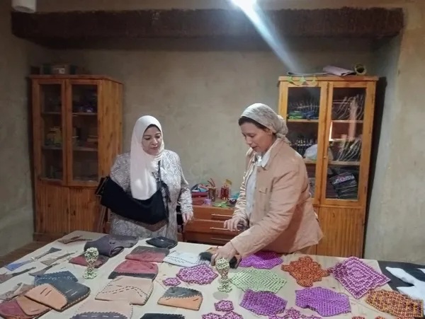 مكتبة مصر العامة بواحة سيوة 