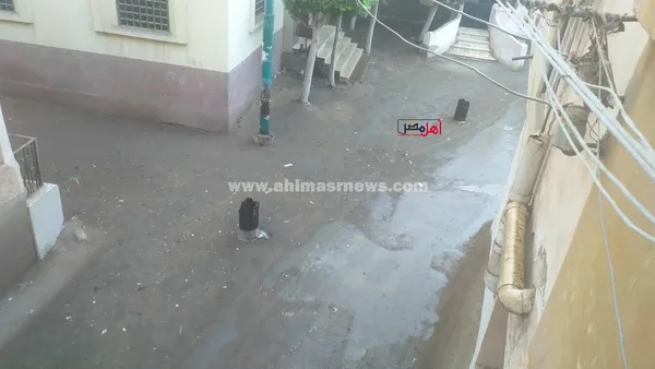هطول أمطار بكفر الشيخ 