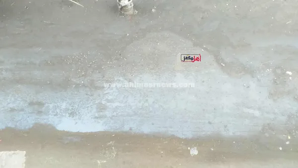 هطول أمطار بكفر الشيخ 
