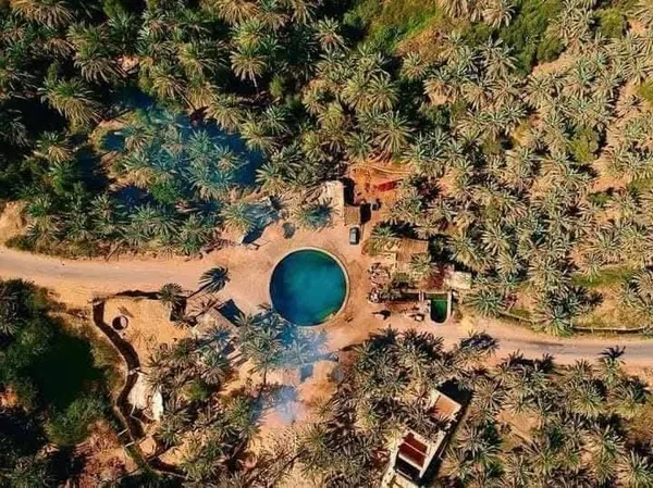 واحة سيوة