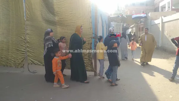 إقبال السيدات على اللجان الانتخابية بكفر الشيخ 