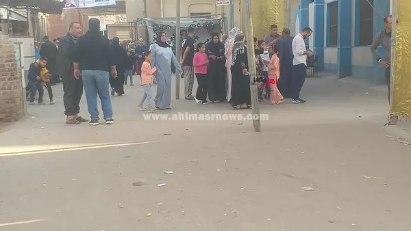 إقبال السيدات على اللجان الانتخابية بكفر الشيخ 