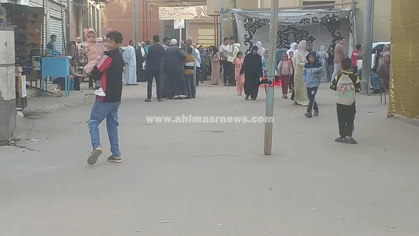 إقبال كبير من السيدات على اللجان الانتخابية بكفر الشيخ 