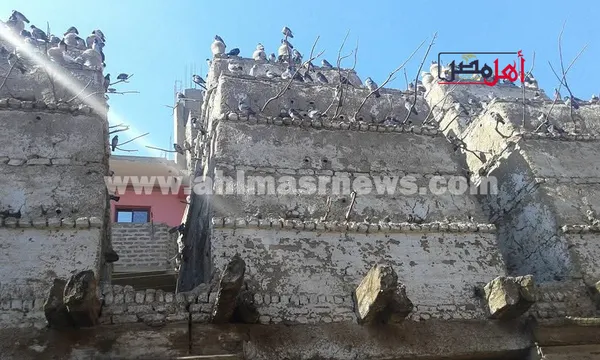 ابراج الحمام الجبلي