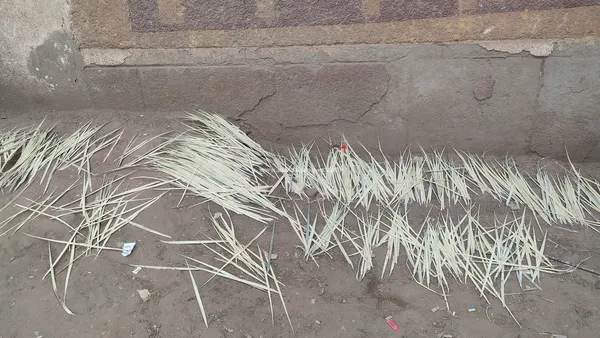 العم عبدالعليم 