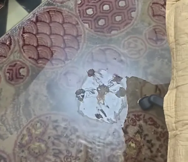 المطرب ابراهيم عبد القادر يستغيث من غرق منزله بالدور الارضى بحى الشرق ببورسعيد 