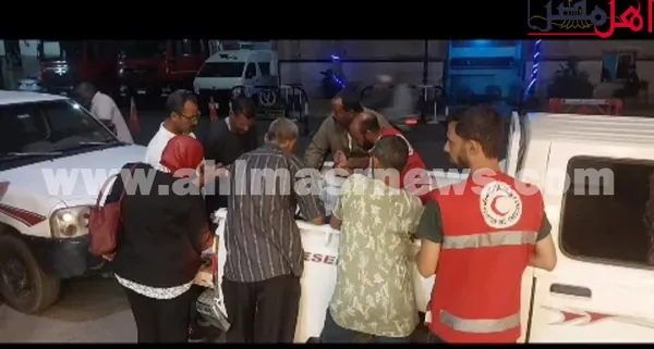 تحصين الكلاب الضالة بقنا 