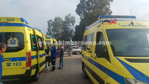 جانب من الحادث 