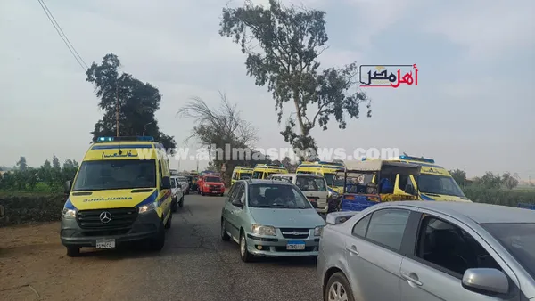 جانب من الحادث 