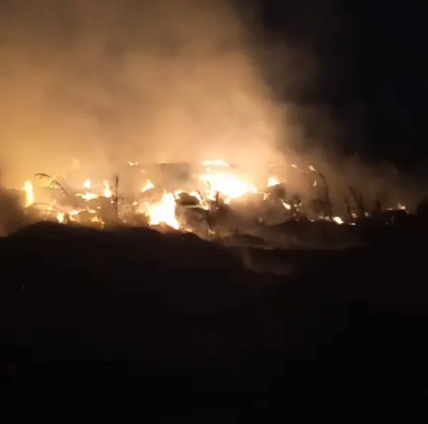 جانب من الحرائق 