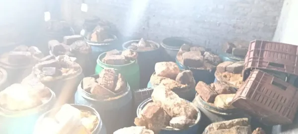 جانب من الضبطيات 