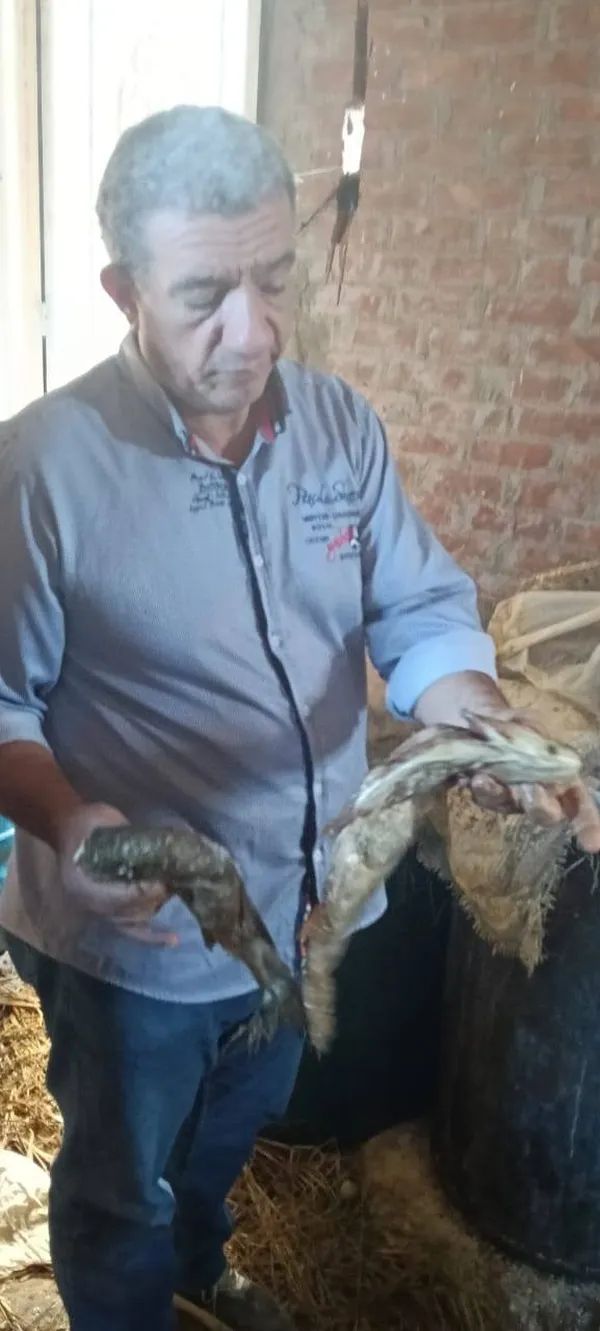 جانب من الضبطيات 