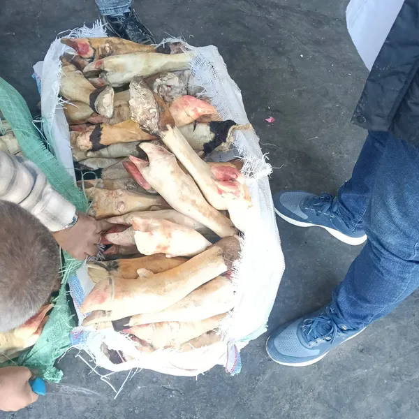 جانب من المضبوطات 