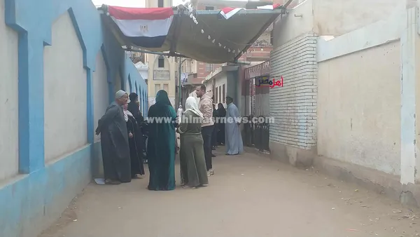 جانب من توافد المواطنين للإدلاء بأصواتهم في انتخابات مجلس النواب 